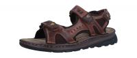 Camel Active Herren Pantolette cognac (Braun) 54TS001-180-470